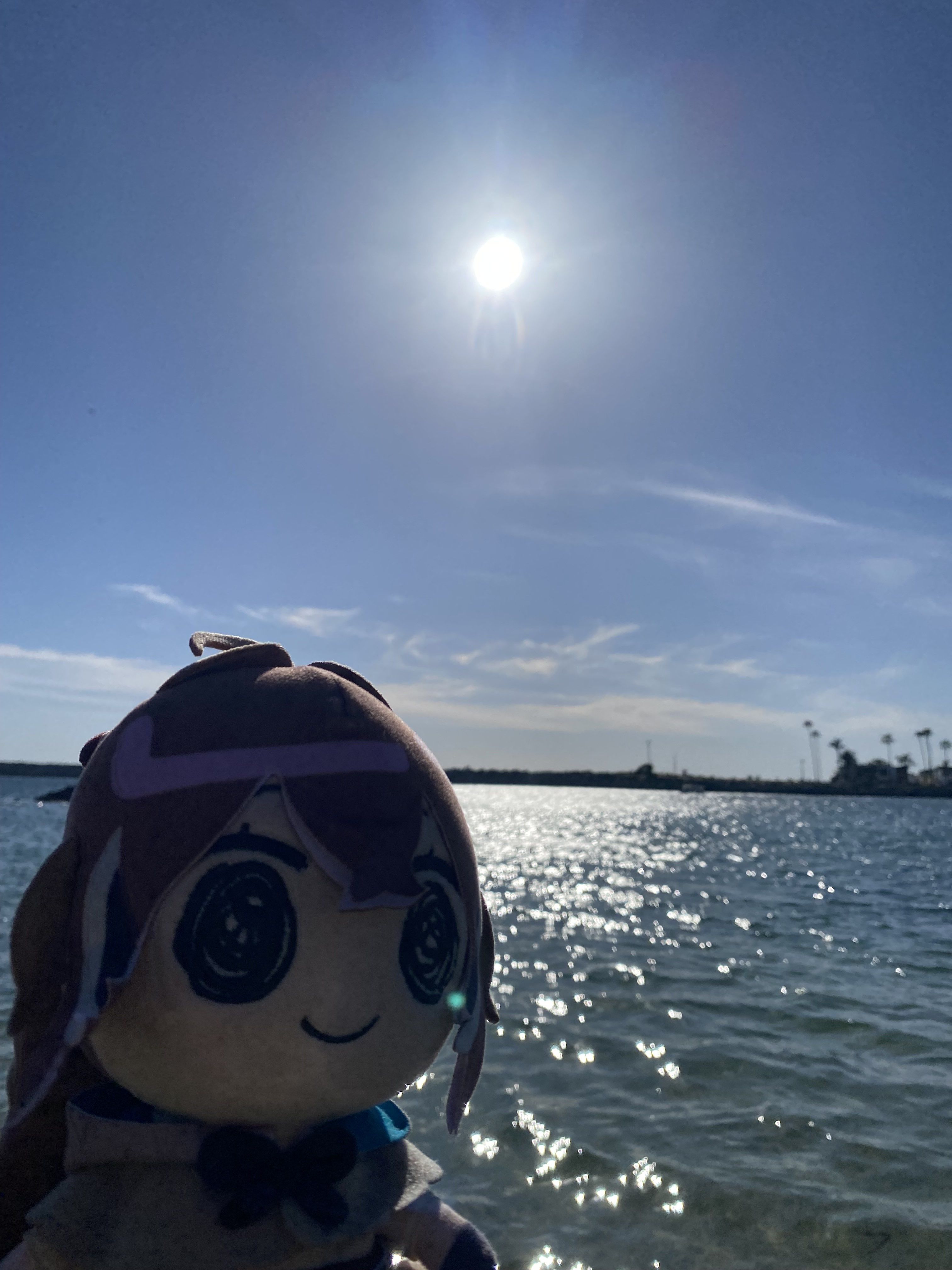 Moom plush at ocean
