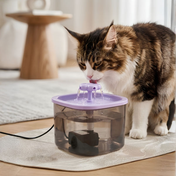 Pet Water Fountain with Filter - 1L Capacity