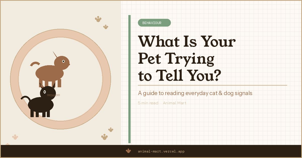Understanding Your Pet's Behaviour: What Your Cat or Dog Is Really Trying to Tell You