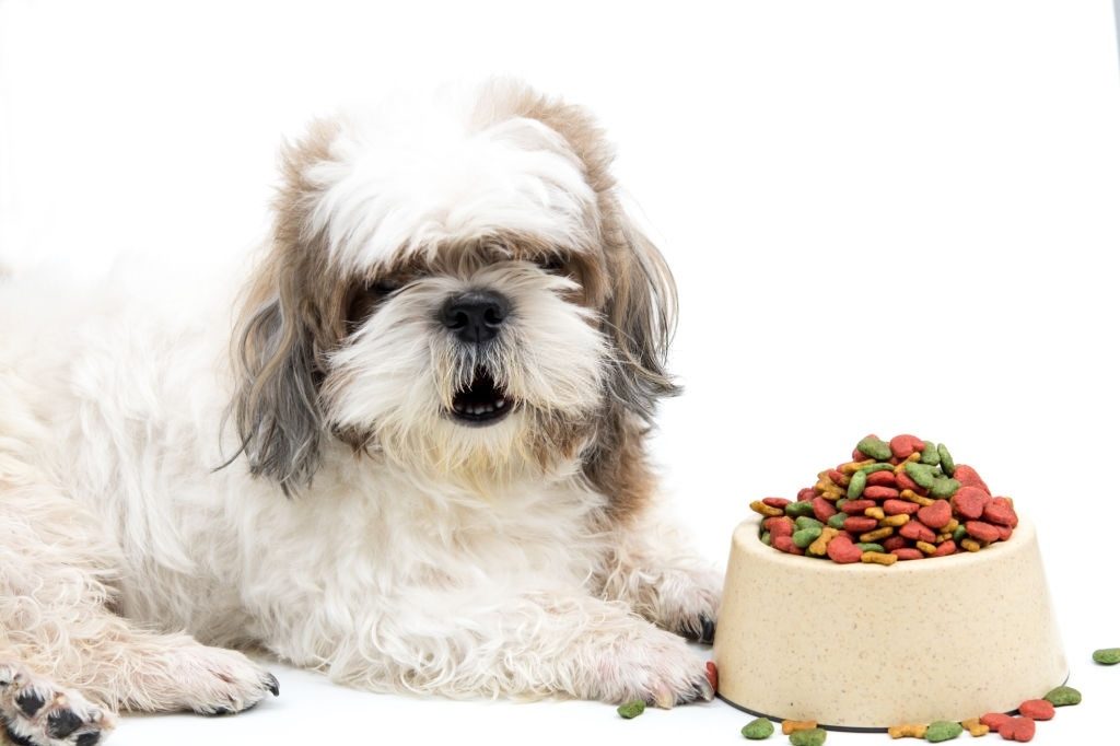 Makanan Anjing Shih Tzu