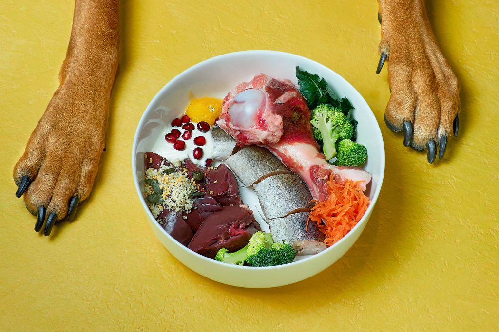 Makanan Anjing