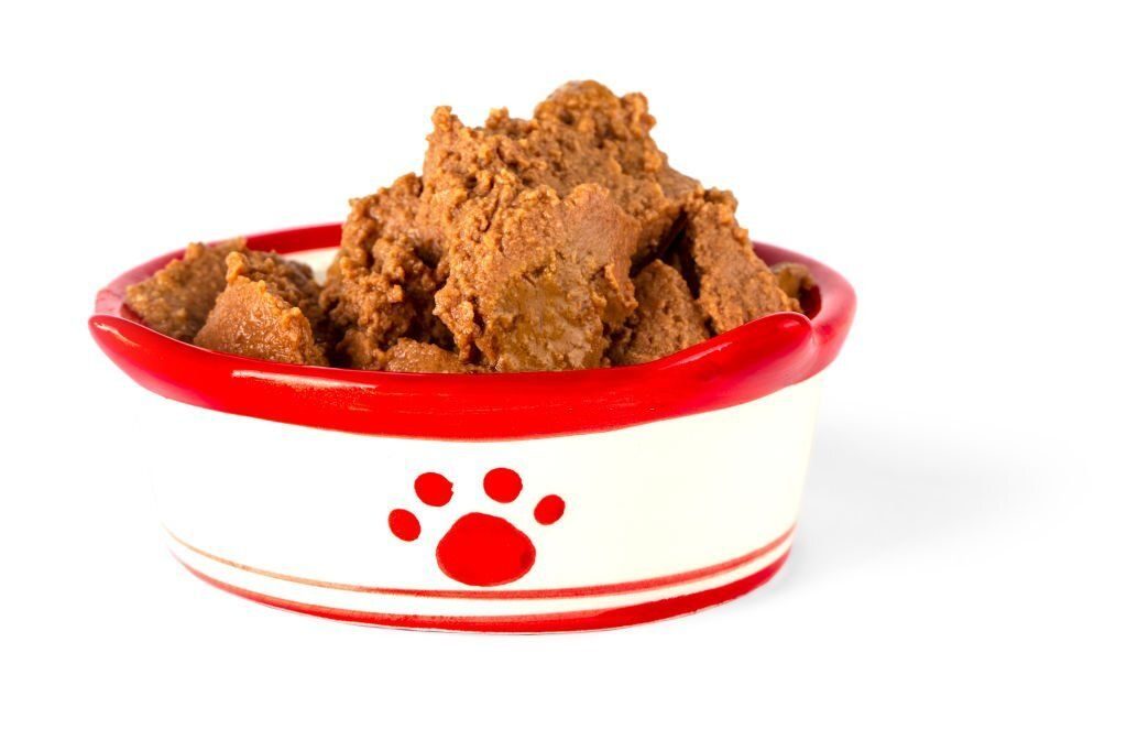 Makanan Anjing