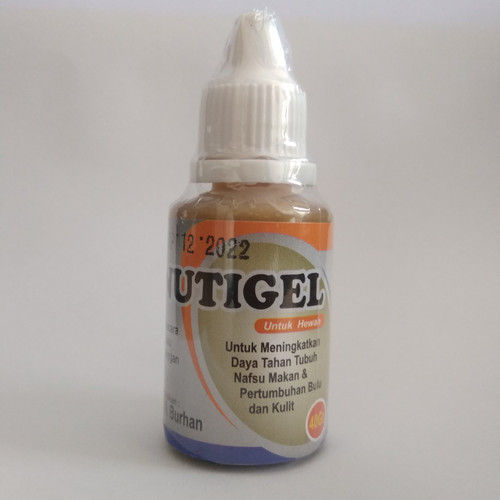 Vitamin Anjing