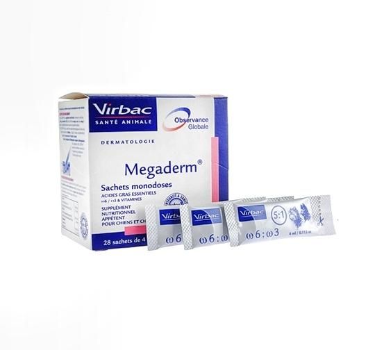 Vitamin Anjing