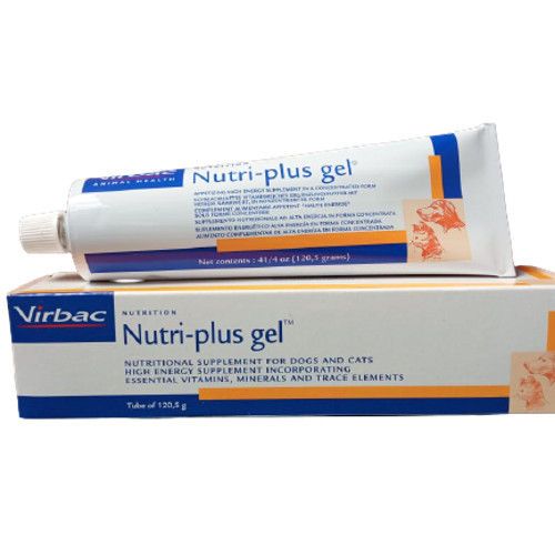 Vitamin Anjing