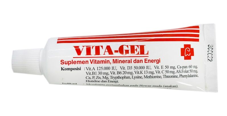 Vitamin Anjing