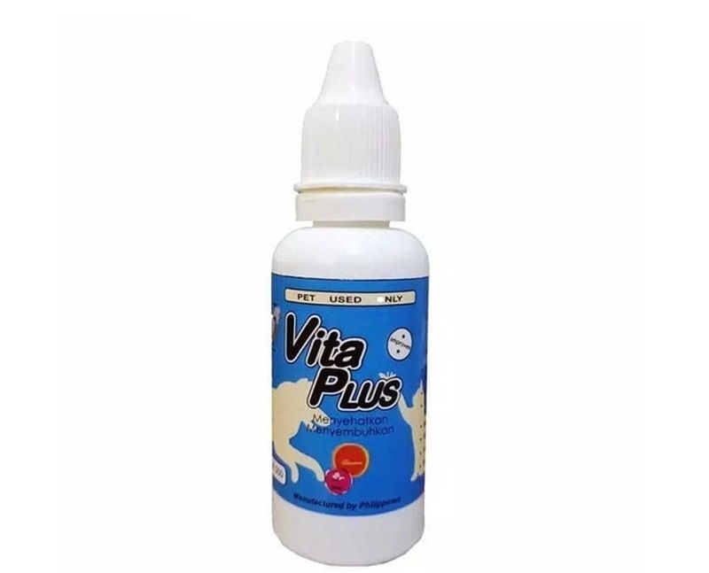 Vitamin Anjing
