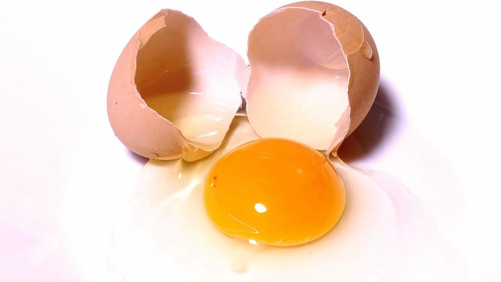 Telur mentah adalah makanan yang tidak boleh dimakan anjing