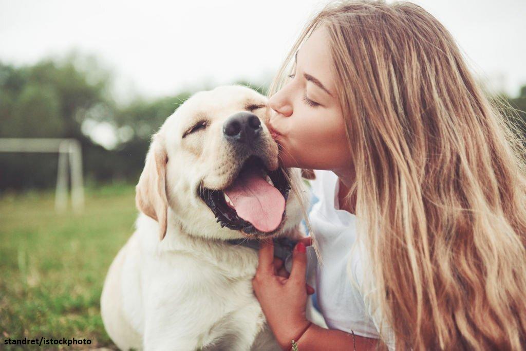 Jenis Anjing Paling Setia Kepada Pemiliknya