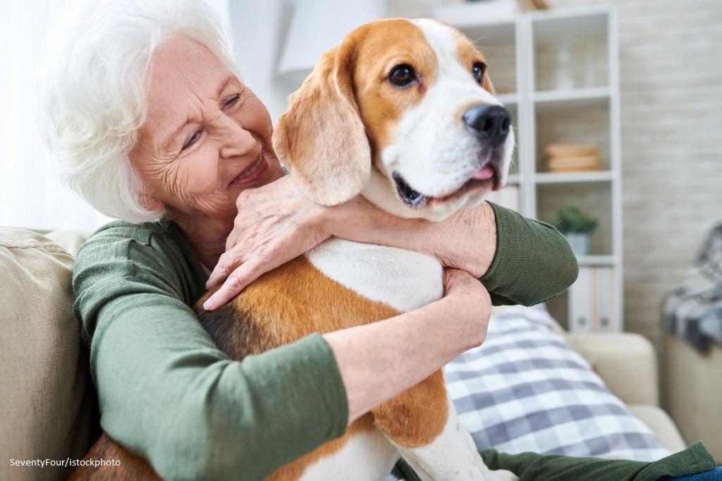 Manfaat Memelihara Anjing