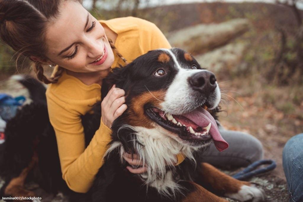 jenis anjing yang jarang menggonggong