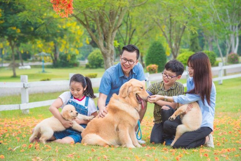 Rekomendasi Ras Anjing Keluarga Terbaik Anjingpedia