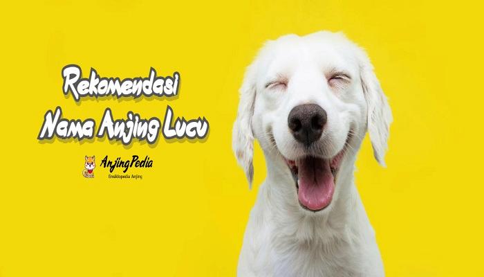 Nama Anjing Lucu