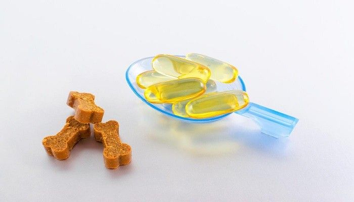 Manfaat Minyak Ikan untuk Anjing