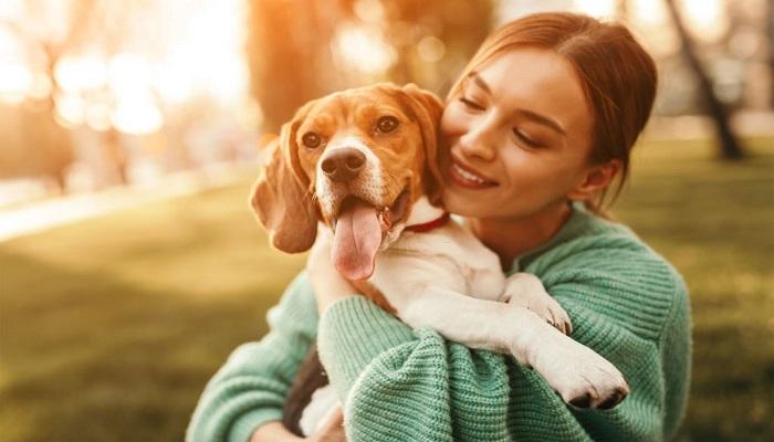 Perbandingan Umur Anjing dan Manusia