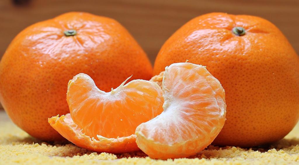 Buah yang Tidak Boleh Dimakan Anjing