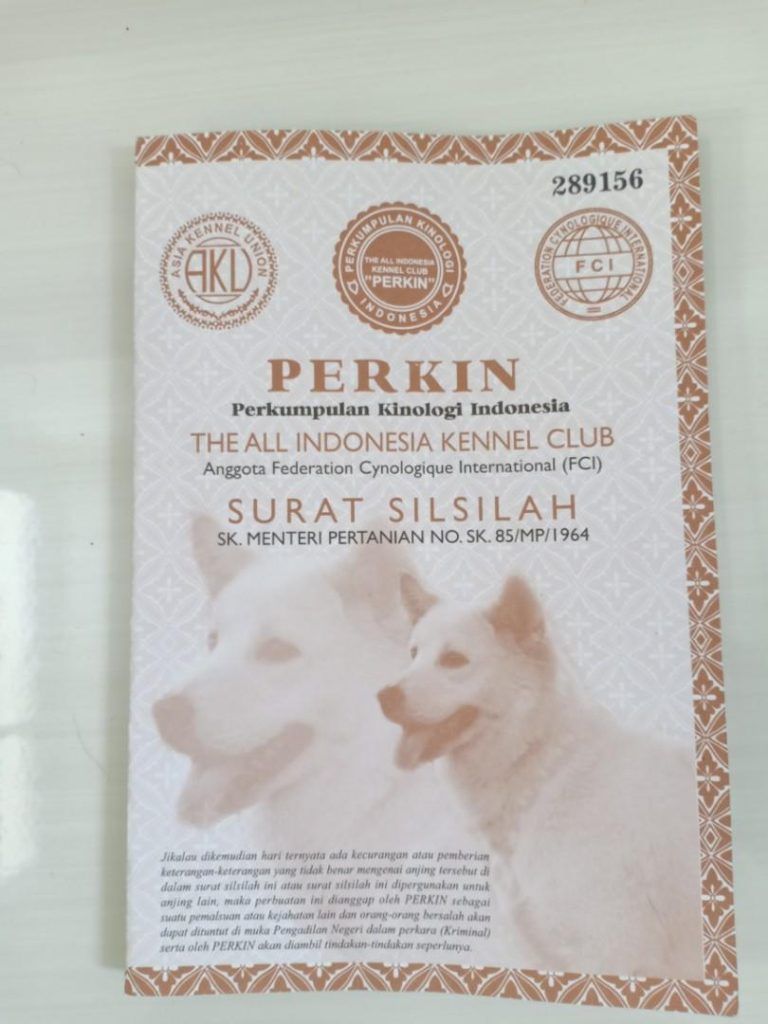 Stambum Anjing atau Surat Silsilah Perkin