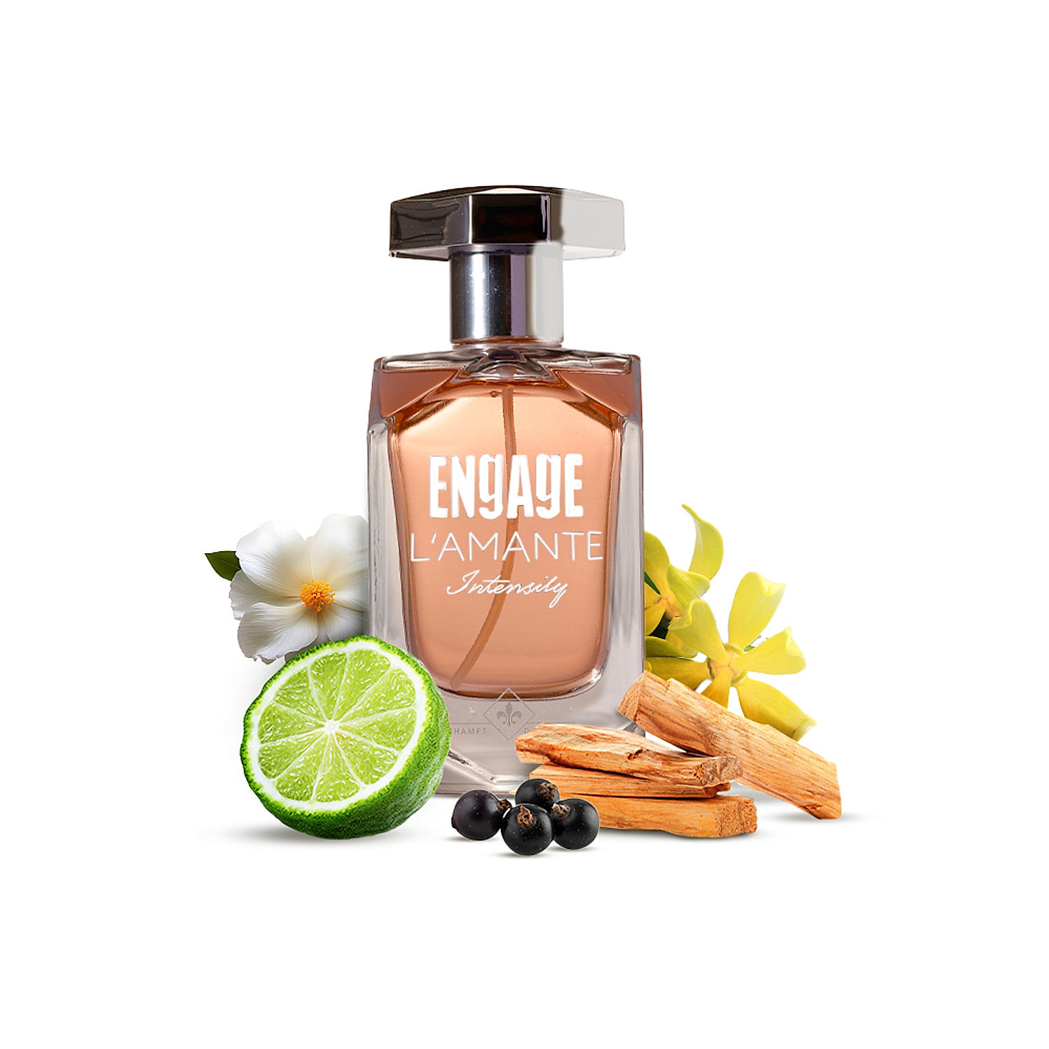 Buy Engage Lamante Intensity Perfume For Women 100 Ml Online At Engage Penps0071 0493