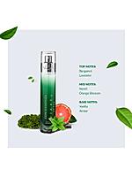 Mikkel Verde Luxury Perfume for Men, Travel Sized, Eau De Toilette, Earthy & Woody, Long-Lasting, 16ml