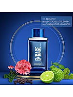 Homme Perfume for Men, Eau de Parfum, Citrus & Woody, Long-Lasting, 100ml
