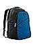 Raman Canvy 29L Blue Casual Canvas Backpack