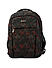 Raman Canvy 23L Black Casual Canvas Backpack