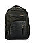 Raman Lappy 38L Black Laptop Backpack