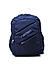 Raman Lappy 33L Navy Blue Laptop Backpack