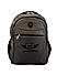 Raman Schooly 35L Grey Casual Backpack