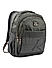 Raman Schooly 38L Grey Casual Backpack