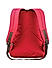 Raman Schooly 38L Pink Casual Backpack