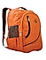 Raman Schooly 31L Orange School Backpack