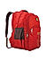 Raman Schooly 34L Red Casual Backpack