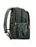 Raman Schooly 35L Grey Casual Backpack