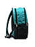 Raman Schooly 24L Sea Green Casual Backpack