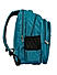 Raman Baggy 37L Sea green Casual Backpack