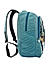 Raman Canvy 24L Turquoise Blue Casual Canvas Backpack