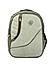 Raman Canvy 24L Mehandi Casual Canvas Backpack