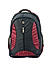 Raman Lappy 50L Wine Laptop Backpack