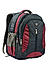 Raman Lappy 50L Wine Laptop Backpack