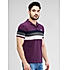 Lawman Polo Neck Half Sleeves Solid Regular Fit T-Shirts