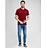 Lawman Polo Neck Half Sleeves Solid Regular Fit T-Shirts