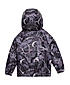 BOYS PRINTED FULL SLEEVE JACKET WITH HODDIE