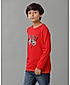 PRINTED BOYS ROUND NECK T SHIRT