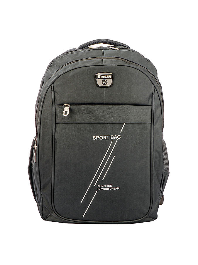 Raman Schooly 41L Grey Casual Backpack