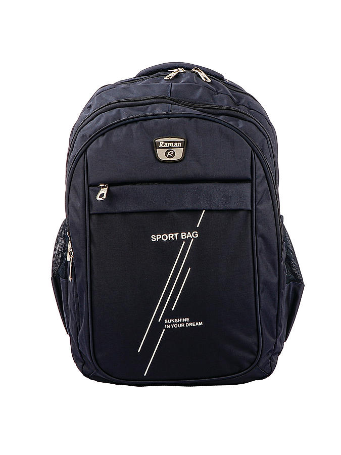 Raman Schooly 41L Navy Blue Casual Backpack