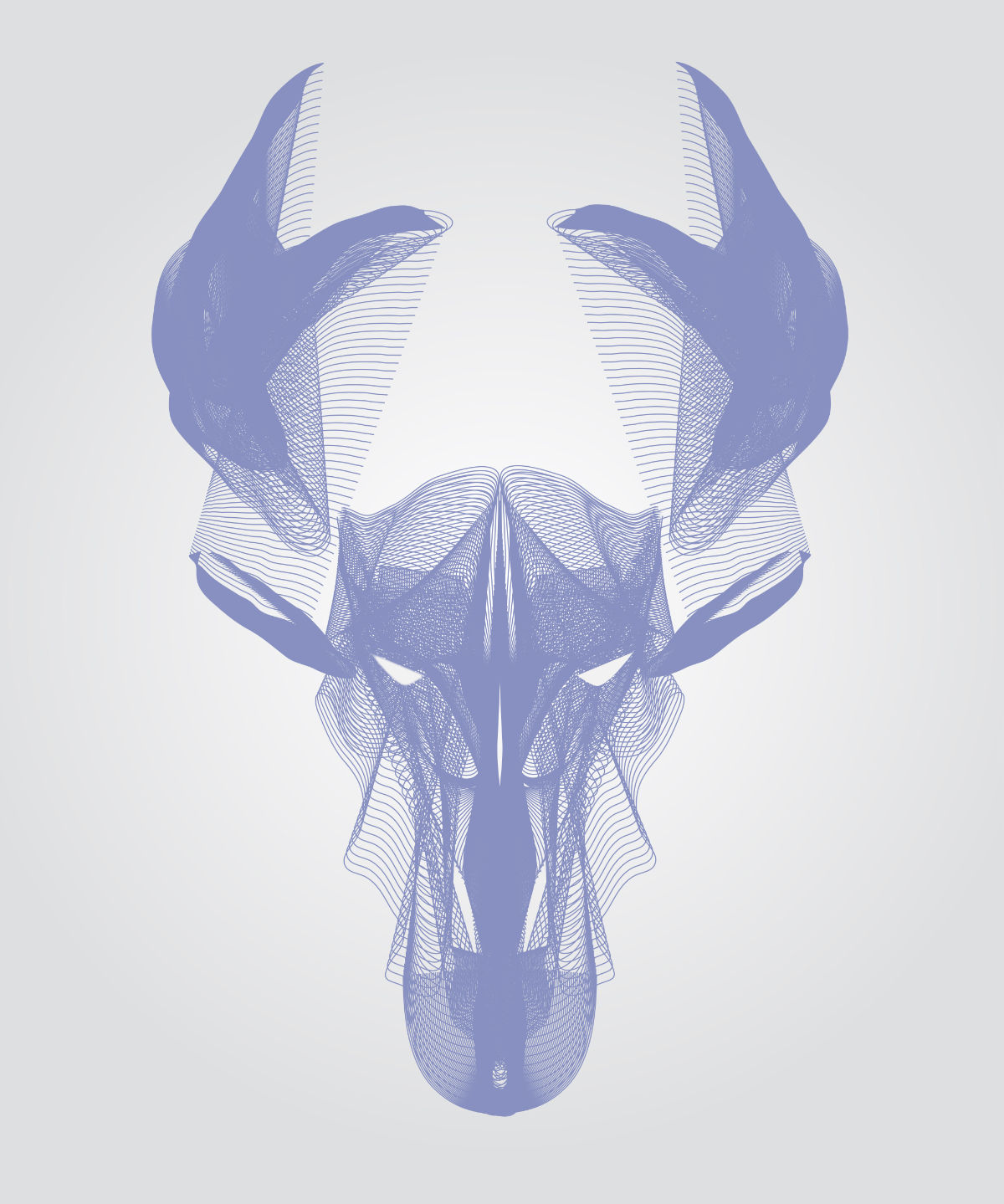 Antelope in Contours
