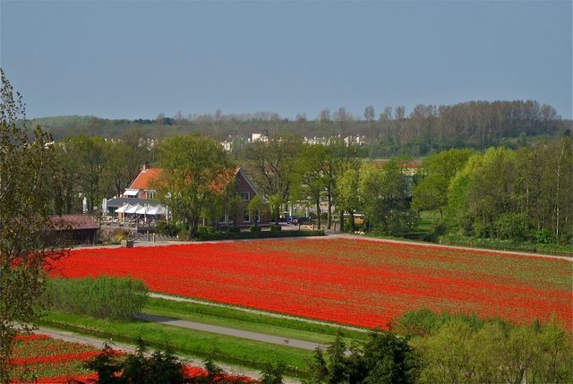 Landgoed Tespelduyn Golfbaan Tespelduyn