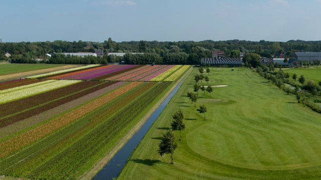 Uitzicht bovenop de Terp Golfbaan Tespelduyn