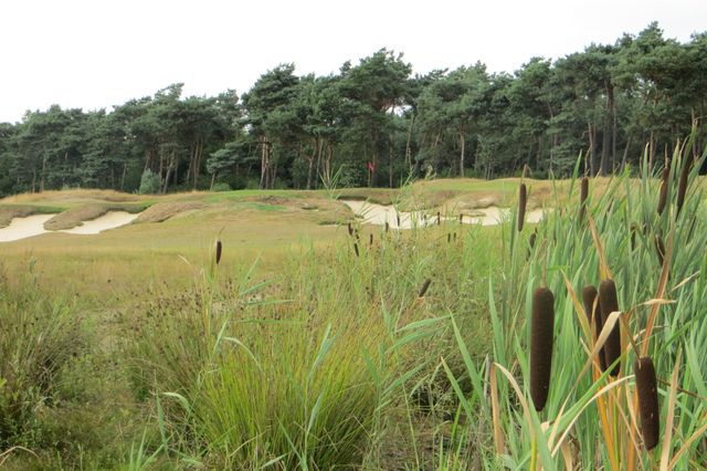 Golfen helmond stippelberg